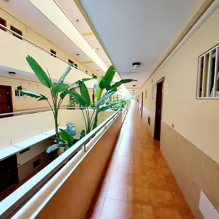 Sunny Cozy Loscristianos Wifi,pool Апартаменты Лос Кристианос